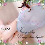 ヒメ日記 2025/04/11 10:03 投稿 空(そら) 相模原人妻城