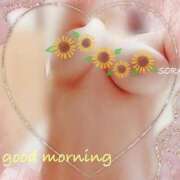 ヒメ日記 2025/07/15 06:33 投稿 空(そら) 相模原人妻城