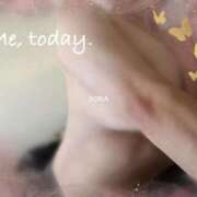 ヒメ日記 2025/07/31 17:57 投稿 空(そら) 相模原人妻城