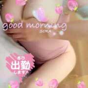 ヒメ日記 2025/09/26 08:30 投稿 空(そら) 相模原人妻城