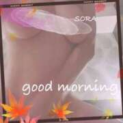 ヒメ日記 2025/11/13 07:48 投稿 空(そら) 相模原人妻城