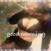 ヒメ日記 2025/11/15 08:48 投稿 空(そら) 相模原人妻城