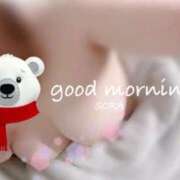 ヒメ日記 2025/11/28 09:03 投稿 空(そら) 相模原人妻城