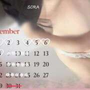 ヒメ日記 2025/11/30 15:03 投稿 空(そら) 相模原人妻城