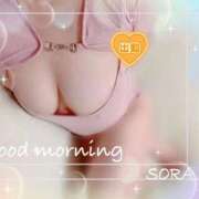 ヒメ日記 2025/12/07 10:03 投稿 空(そら) 相模原人妻城