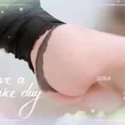 ヒメ日記 2026/02/20 09:48 投稿 空(そら) 相模原人妻城