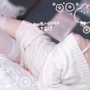 ヒメ日記 2025/01/11 14:20 投稿 すず スチュワーデス