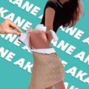 ヒメ日記 2025/03/11 20:22 投稿 あかね ラグジュアリーＭ性感Mirage