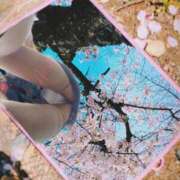 ヒメ日記 2025/04/05 06:30 投稿 あかね ラグジュアリーＭ性感Mirage