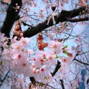 ヒメ日記 2025/04/16 23:50 投稿 あかね ラグジュアリーＭ性感Mirage