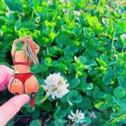 ヒメ日記 2026/03/05 08:12 投稿 あかね ラグジュアリーＭ性感Mirage