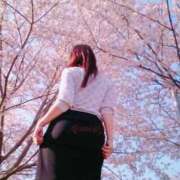 ヒメ日記 2026/03/23 14:04 投稿 あかね ラグジュアリーＭ性感Mirage