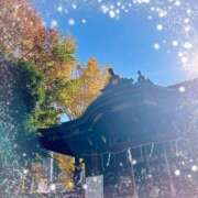 ヒメ日記 2024/12/12 08:52 投稿 あかり サンクチュアリ(上野)