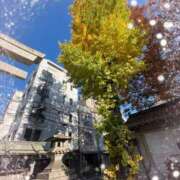 ヒメ日記 2024/12/17 08:50 投稿 あかり サンクチュアリ(上野)