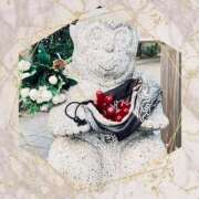 ヒメ日記 2024/12/19 08:56 投稿 あかり サンクチュアリ(上野)