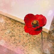 ヒメ日記 2025/02/04 08:52 投稿 あかり サンクチュアリ(上野)