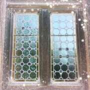 ヒメ日記 2025/02/11 08:38 投稿 あかり サンクチュアリ(上野)