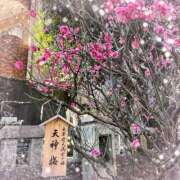 ヒメ日記 2025/02/26 08:54 投稿 あかり サンクチュアリ(上野)