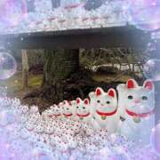 ヒメ日記 2025/03/21 08:50 投稿 あかり サンクチュアリ(上野)