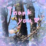 ヒメ日記 2025/03/24 13:59 投稿 あかり サンクチュアリ(上野)