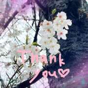 ヒメ日記 2025/04/02 17:11 投稿 あかり サンクチュアリ(上野)