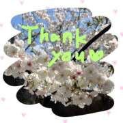 ヒメ日記 2025/04/07 22:11 投稿 あかり サンクチュアリ(上野)