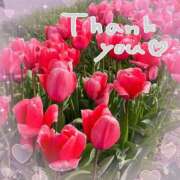 ヒメ日記 2025/04/09 11:45 投稿 あかり サンクチュアリ(上野)