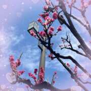 ヒメ日記 2025/04/12 08:47 投稿 あかり サンクチュアリ(上野)