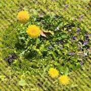 ヒメ日記 2025/04/18 08:50 投稿 あかり サンクチュアリ(上野)