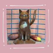 ヒメ日記 2025/04/29 08:46 投稿 あかり サンクチュアリ(上野)