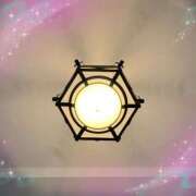 ヒメ日記 2025/05/05 08:54 投稿 あかり サンクチュアリ(上野)