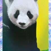 ヒメ日記 2025/05/29 08:50 投稿 あかり サンクチュアリ(上野)