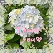 ヒメ日記 2025/06/09 16:43 投稿 あかり サンクチュアリ(上野)