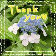 ヒメ日記 2025/06/12 14:35 投稿 あかり サンクチュアリ(上野)