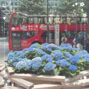 ヒメ日記 2025/06/13 08:52 投稿 あかり サンクチュアリ(上野)