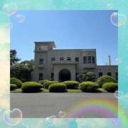 ヒメ日記 2025/06/17 08:51 投稿 あかり サンクチュアリ(上野)