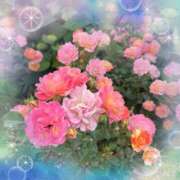 ヒメ日記 2025/06/18 08:51 投稿 あかり サンクチュアリ(上野)