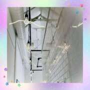 ヒメ日記 2025/07/03 08:55 投稿 あかり サンクチュアリ(上野)