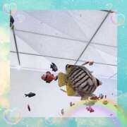 ヒメ日記 2025/07/22 08:52 投稿 あかり サンクチュアリ(上野)