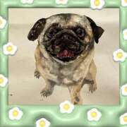 ヒメ日記 2025/08/16 08:47 投稿 あかり サンクチュアリ(上野)