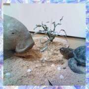 ヒメ日記 2025/08/19 08:52 投稿 あかり サンクチュアリ(上野)