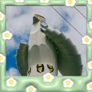 ヒメ日記 2025/08/22 08:52 投稿 あかり サンクチュアリ(上野)