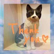 ヒメ日記 2025/08/25 22:52 投稿 あかり サンクチュアリ(上野)