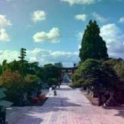 ヒメ日記 2025/10/16 08:54 投稿 あかり サンクチュアリ(上野)