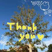 ヒメ日記 2025/11/02 21:05 投稿 あかり サンクチュアリ(上野)