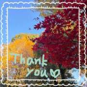 ヒメ日記 2025/12/03 01:07 投稿 あかり サンクチュアリ(上野)