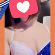 ヒメ日記 2026/02/10 08:57 投稿 あかり サンクチュアリ(上野)