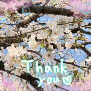 ヒメ日記 2026/04/03 23:27 投稿 あかり サンクチュアリ(上野)