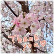 ヒメ日記 2026/04/06 13:40 投稿 あかり サンクチュアリ(上野)