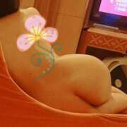 ヒメ日記 2025/04/13 12:43 投稿 まゆみ 人妻の品格(福岡)